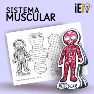 Sistema Muscular