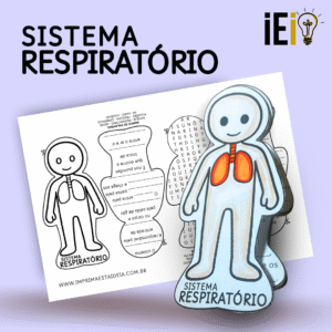 Sistema Respiratório