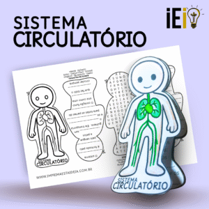 Sistema Circulatório