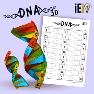 DNA - 3D