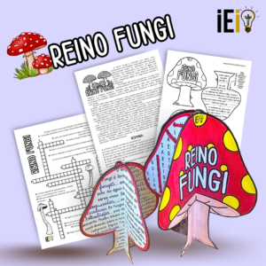 Reino Fungi